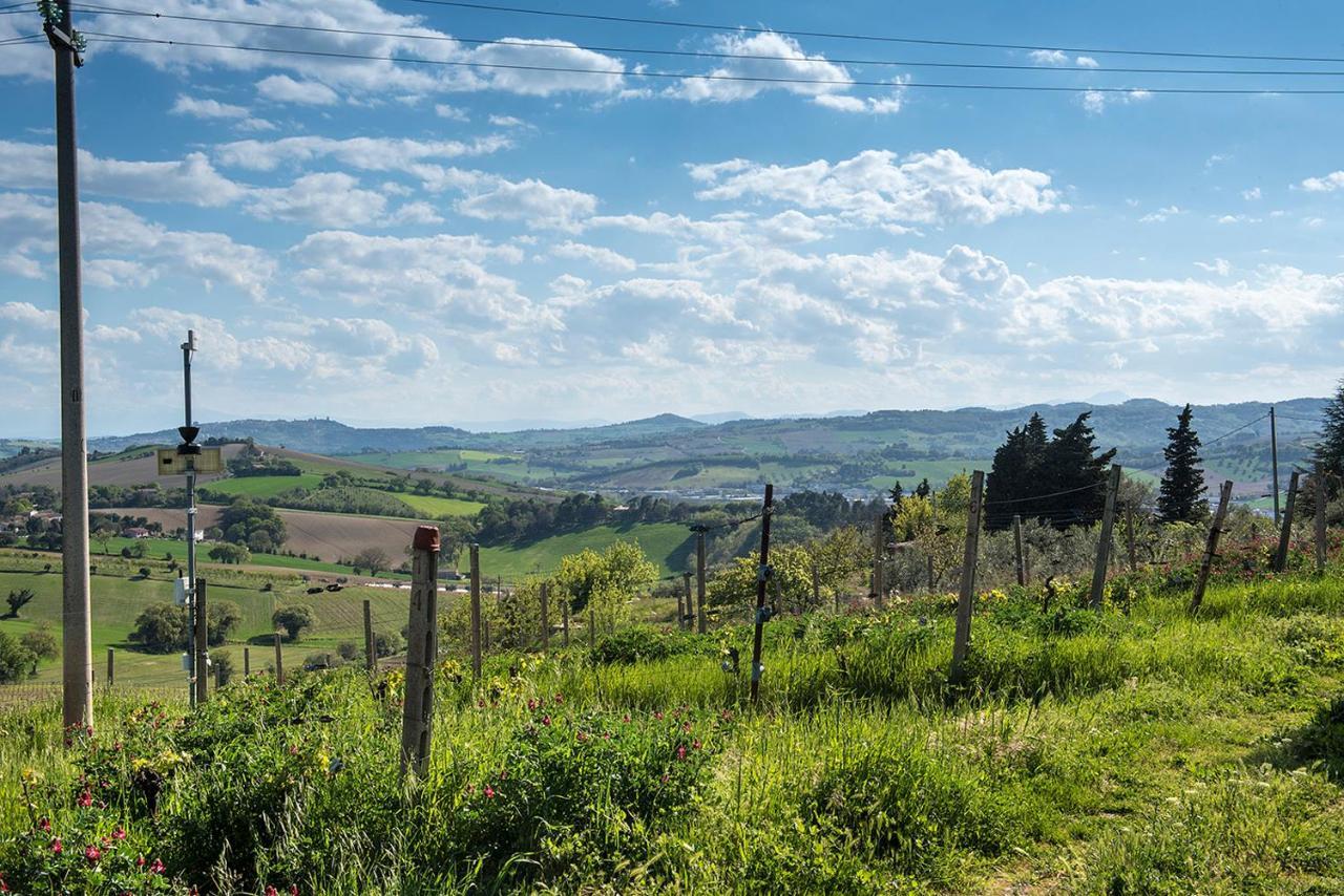 A11 - Varano, Delizioso Trilocale Con Giardino Ancona Exterior photo